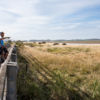 On Little River Trail, cyclist will ride pass wetlands.