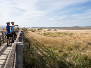 On Little River Trail, cyclist will ride pass wetlands.