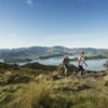 Wander the Port Hills on the edge of Christchurch city