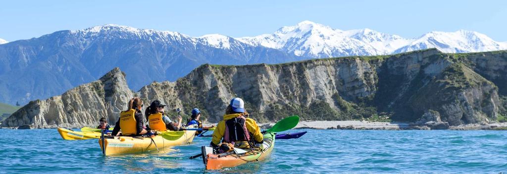 Kayak tour with Kaikoura Kayaks