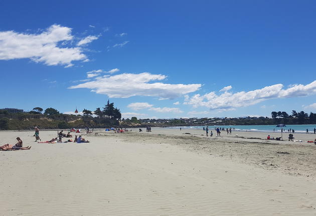 Mache Halt in Timaru und genieße das süße Strandleben an der Caroline Bay. Botanische Gärten, ein Vogelpark und Spaziergänge sind nur einige der Optionen. 