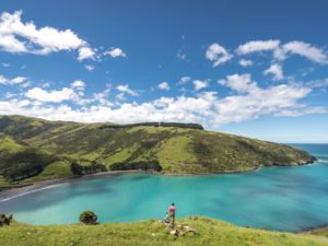 Kajakfahren vor Akaroa.