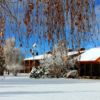 Snow on lawn