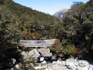 亚瑟通道国家公园（Arthur's Pass National Park）的比利谷