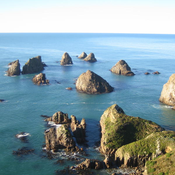 Nugget Point next to nugget point lighthouse