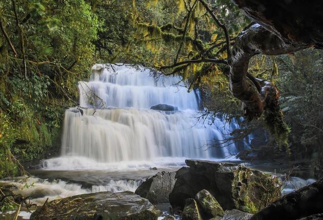 For travellers exploring the Catlins, Owaka is a great place to take a break. The museum and information centre will quickly expand your local knowledge.