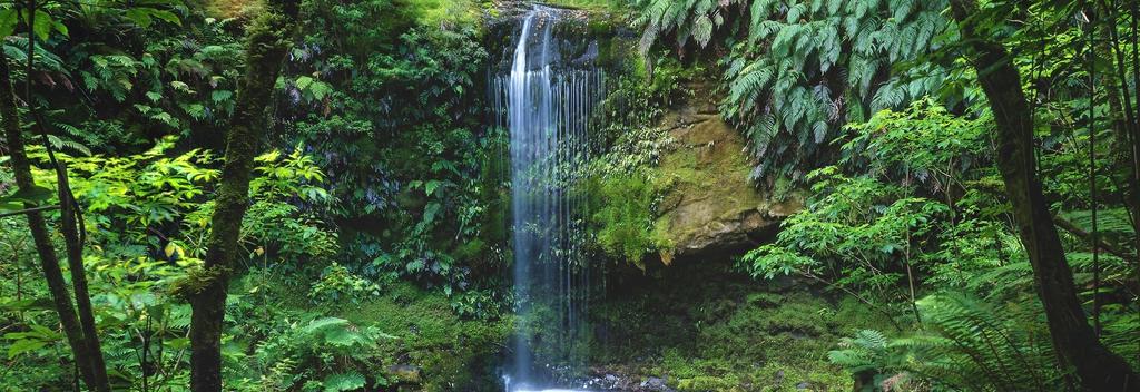 Koropuku Falls