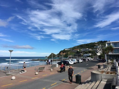 St Clair Beach Dunedin New Zealand