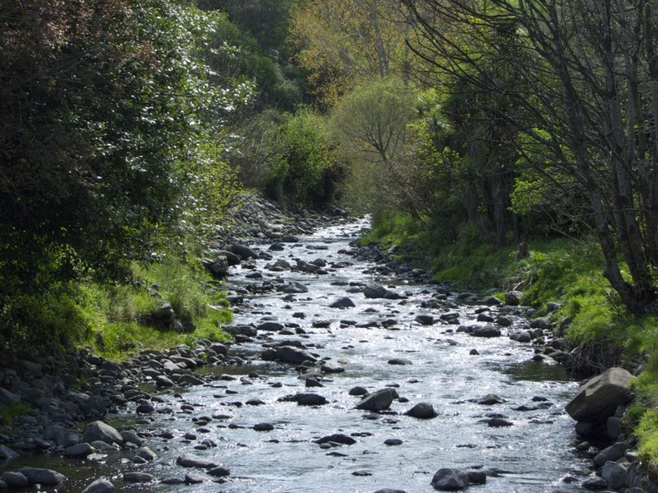 The walk is 5 kilometres in length and takes two hours to complete