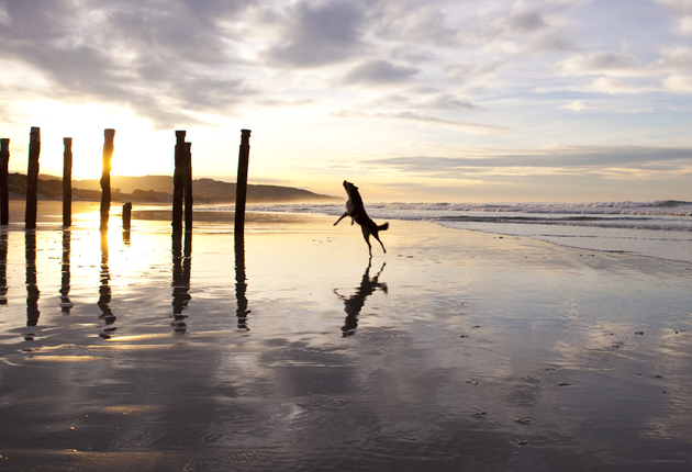 Only minutes from the city centre, this sweeping surf beach is a place to walk, swim, surf or dine out.