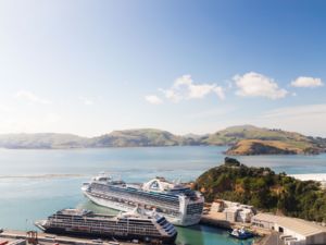 Port Otago, Port Chalmers