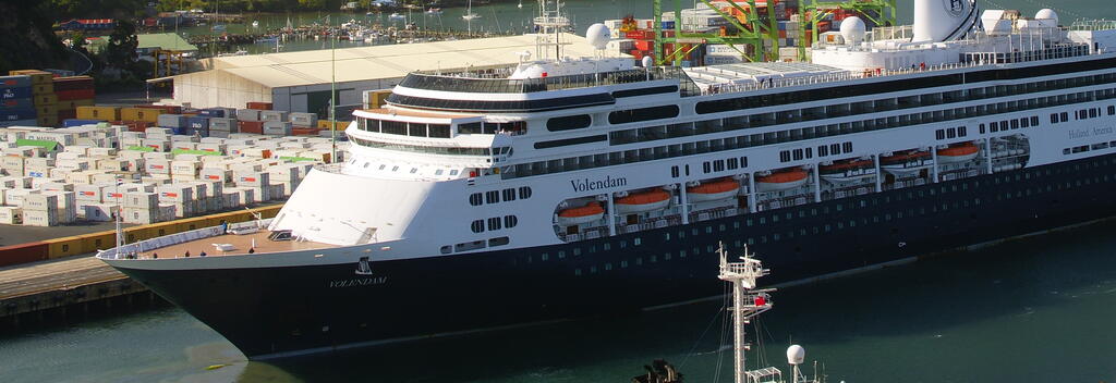 Departure of a cruise ship at Port Chalmers.