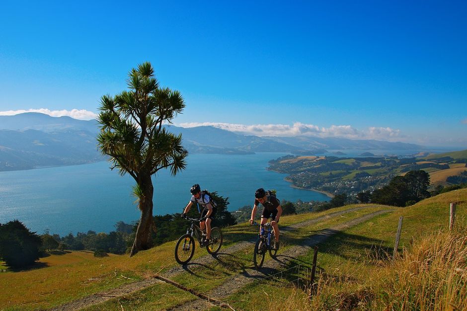 Otago Peninsula