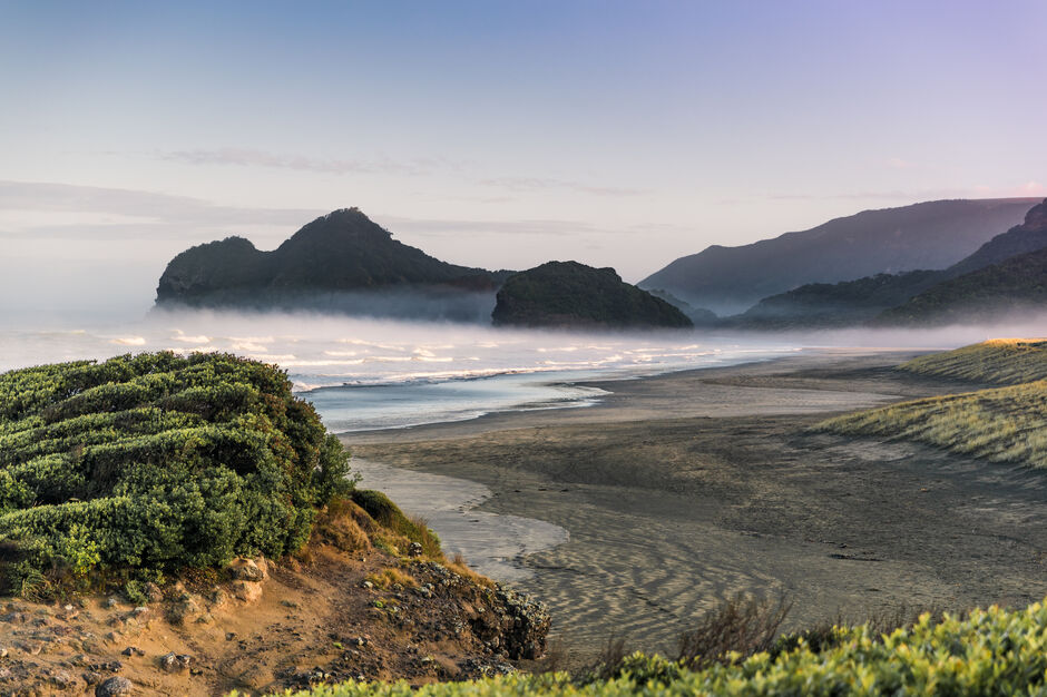 Bethall's Beach Te Henga, Waitakere Ranges