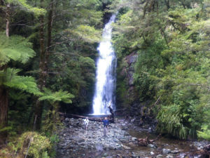 Walking on Hollyford Track