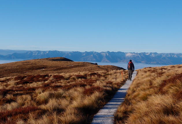 Journey into the captivating lower South Island to uncover an unforgettable mix of rare wildlife, remote rugged lands, and delicious seafood.