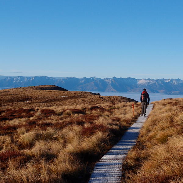 Kepler Track, Kepler Mountains