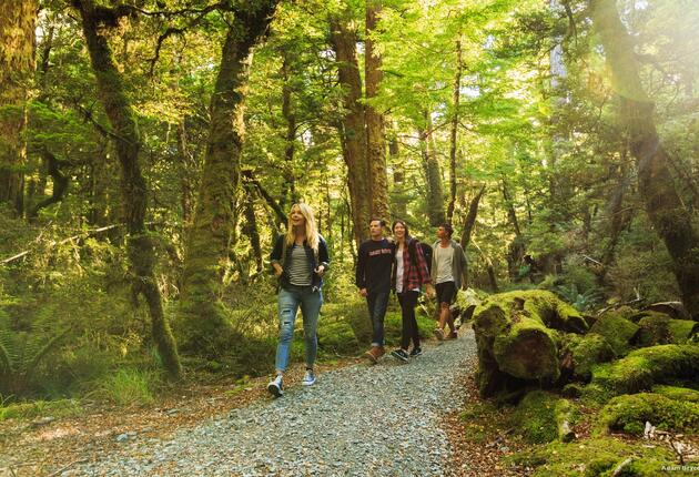 Entdecke die dramatische Natur, atemberaubende Wildnis und fantastische Tierwelt Neuseelands beim Wandern auf einem der neun Great Walks.