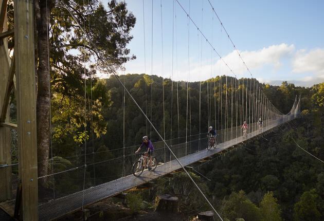 Bridge to Nowhere Mountain Biking Trail Mountain Biking in New Zealand North Island