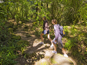 The hike up Mount Te Aroha takes about 3 hours one way.