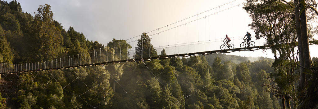 Travel through ancient forests and suspension bridges on this meandering north island trail.