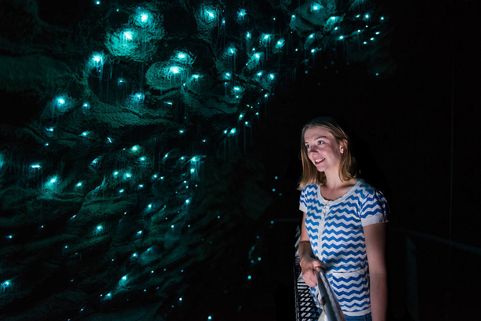 Waitomo Glow Worm Caves