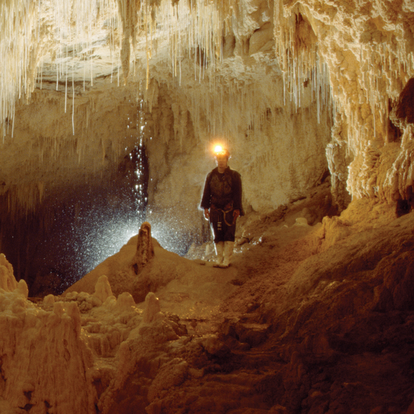 怀托摩（Waitomo）的幸运大发现洞（Luckie Strike Cave）