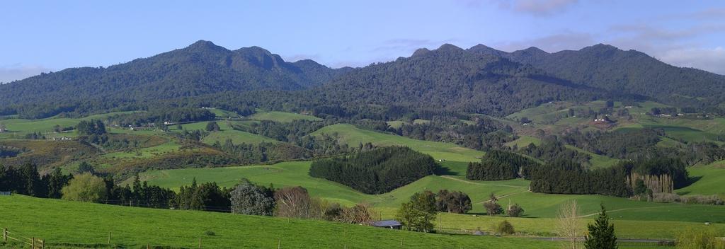 Pirongia