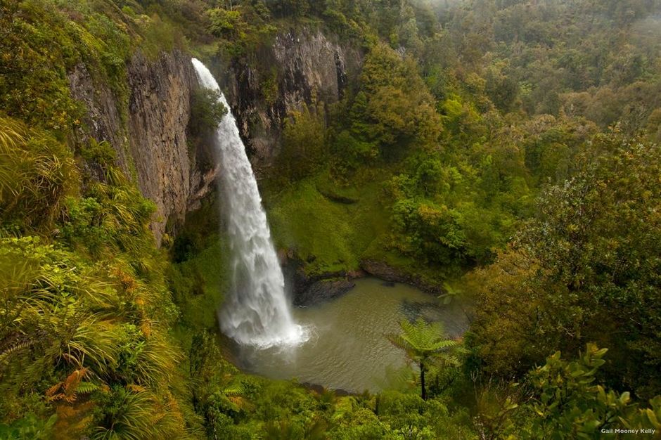 Bridal Veil Falls near Raglan.