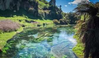 Te Waihou Walkway, Putāruru, Hamilton - Waikato