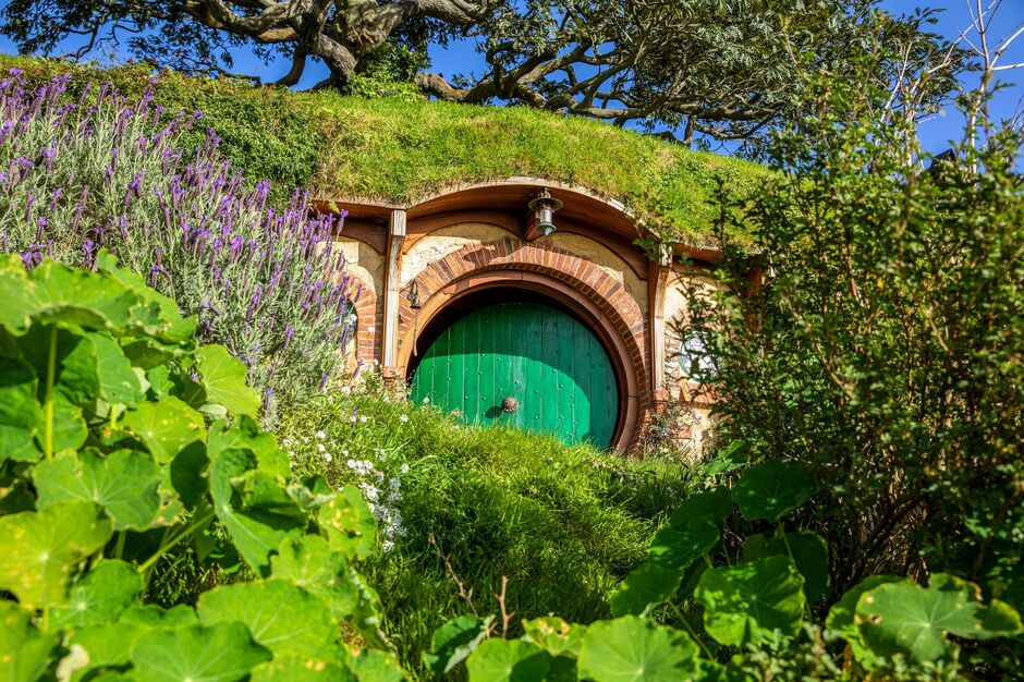 Hobbiton™ Movie Set Tours