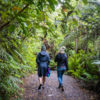 Maungatautari Ecological Reserve