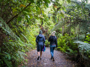 Maungatautari Ecological Reserve