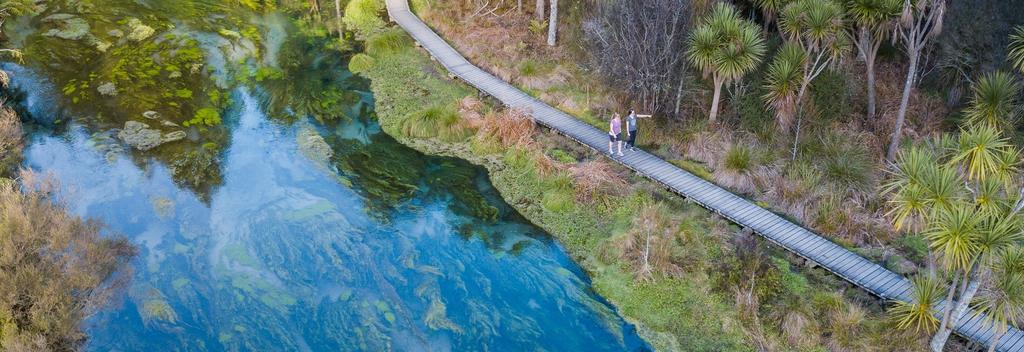 Blue Spring - Te Waihou Walkway