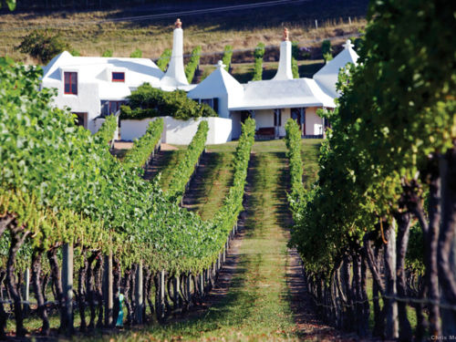 Wineries in Hawke s Bay 100 Pure New Zealand