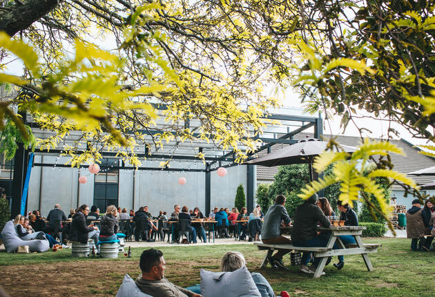 Everything you need to know about drinking beer in New Zealand, from the best craft brewery experiences to beer festivals and events. Find out where to start.