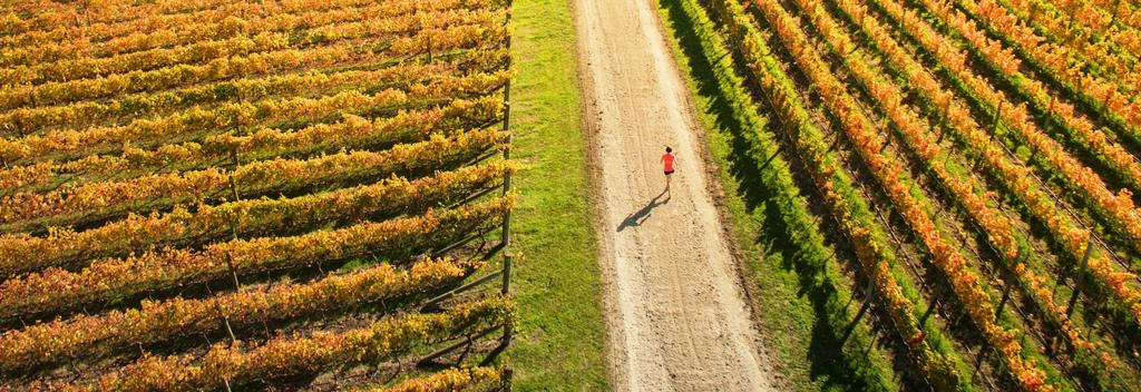 Hawke’s Bay Marathon