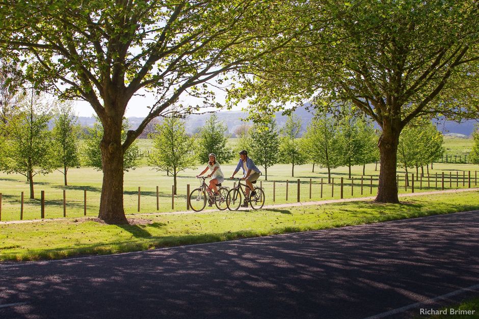 Hawke's Bay Cycle Trails