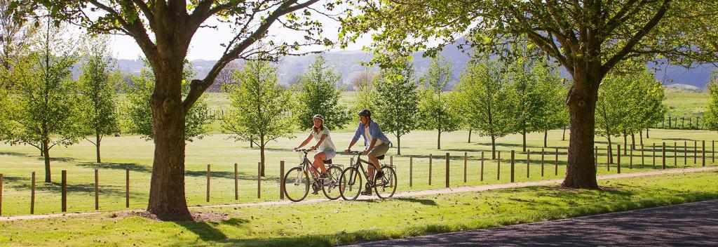 Hawke's Bay Cycle Trails