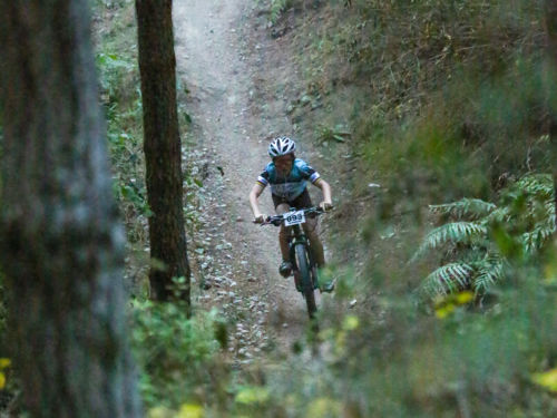 Craters Mountain Bike Park Mountain Biking in New Zealand