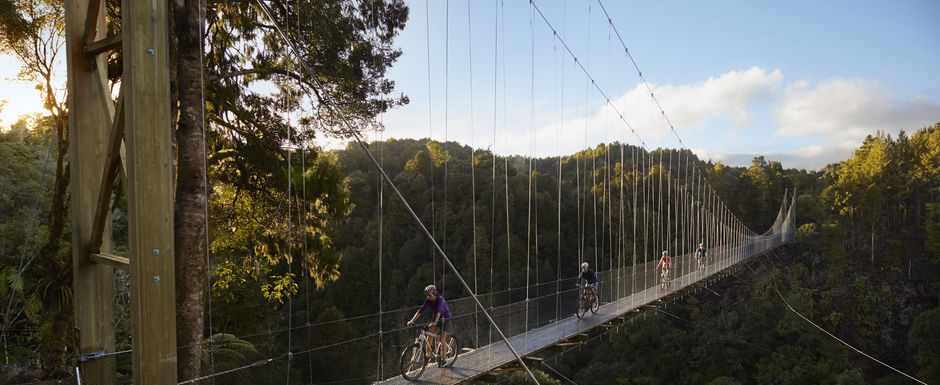 Large suspension bridges are a highlight of this back country ride through native forest.