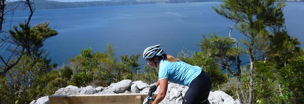 Waihaha to Waihora on the Great Lake Trail