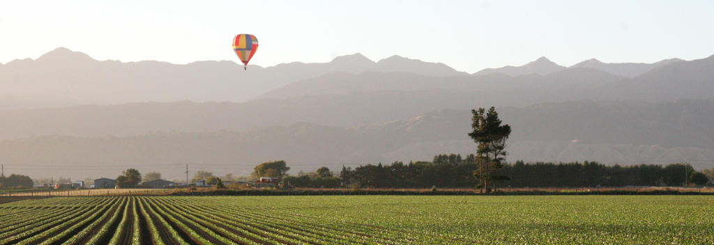 Hot Air Balloon over Shannon