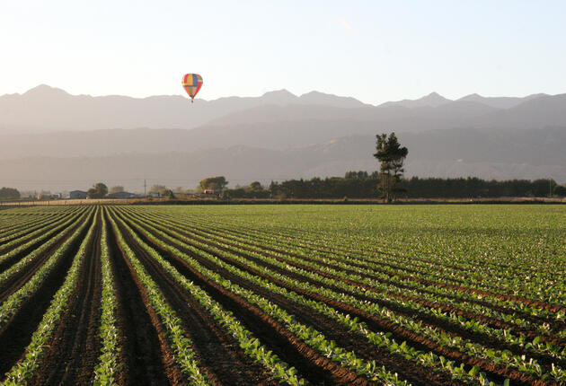 Situated between Levin and Palmerston North on State Highway 57 is the charming town of Shannon. Find out what there is to see and do.