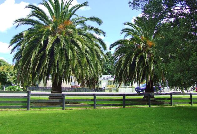 With 200km of fishable waters, Pahiatua is a popular base for trout fishing. Every October, the town celebrates that Paihiatua Trout Fishing Festival