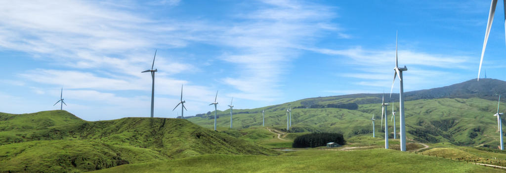 Windmills of Te Apiti