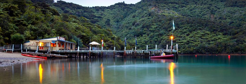 Der spektakuläre Queen Charlotte Track is 71 Kilometer lang, doch kann man ganz einfach Teilstücke bewandern.