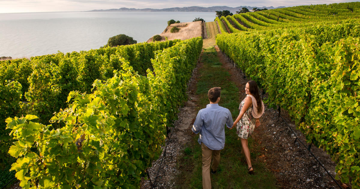 wine tours wellington new zealand