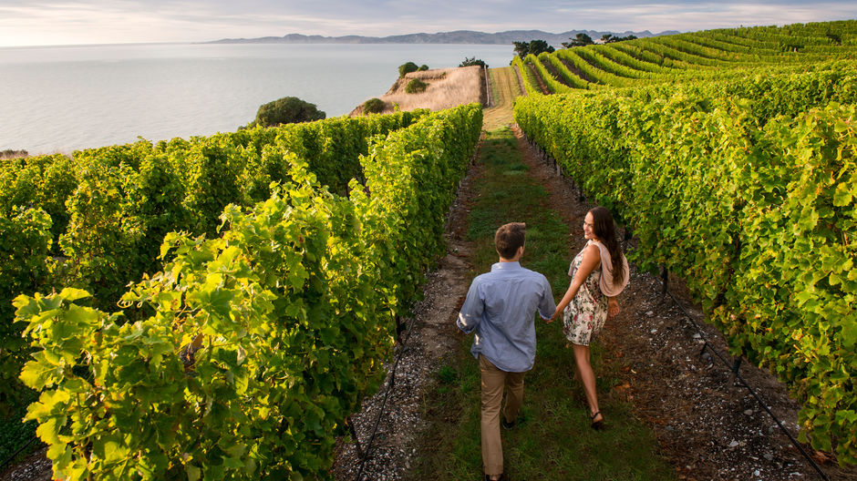 Celebrate your senses in Marlborough's wine region, home to world-class wineries, restaurants, gourmet food producers and the Marlborough Sounds.