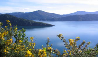 Queen Charlotte Sound